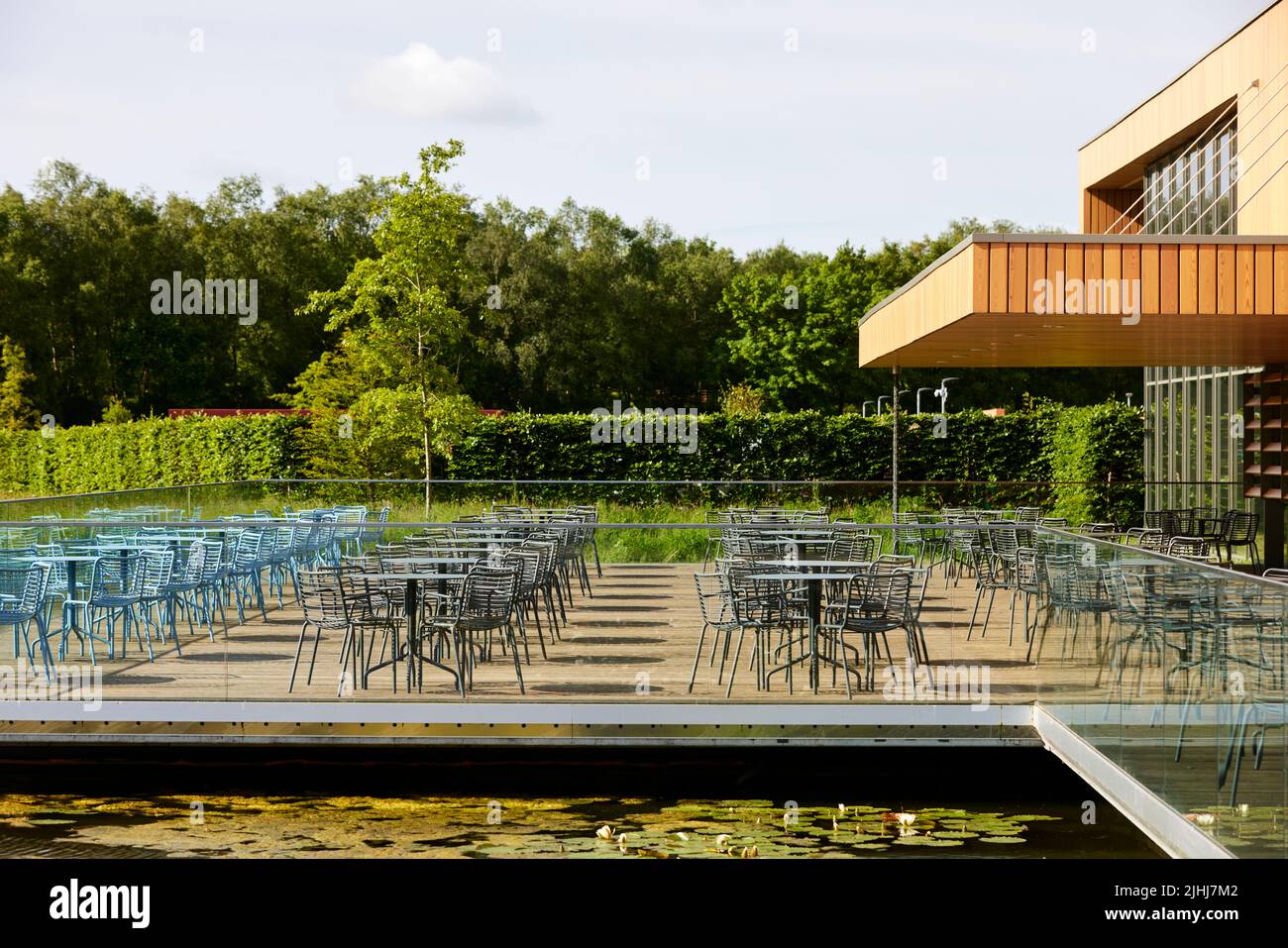 RHS Bridgewater in Worsley, Salford.  Welcome garden terraced Stock Photo