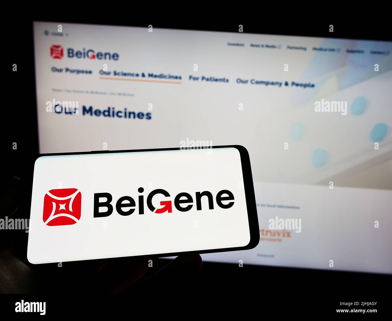 Person holding cellphone with logo of Chinese biotechnology company Beigene Ltd. on screen in front of business webpage. Focus on phone display. Stock Photo