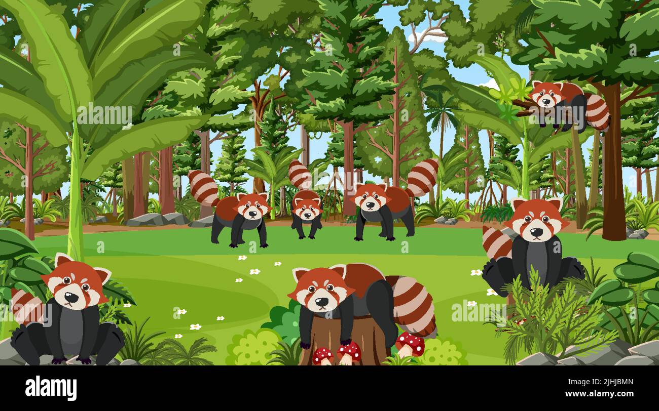 Red pandas in the forest scene illustration Stock Vector Image & Art ...