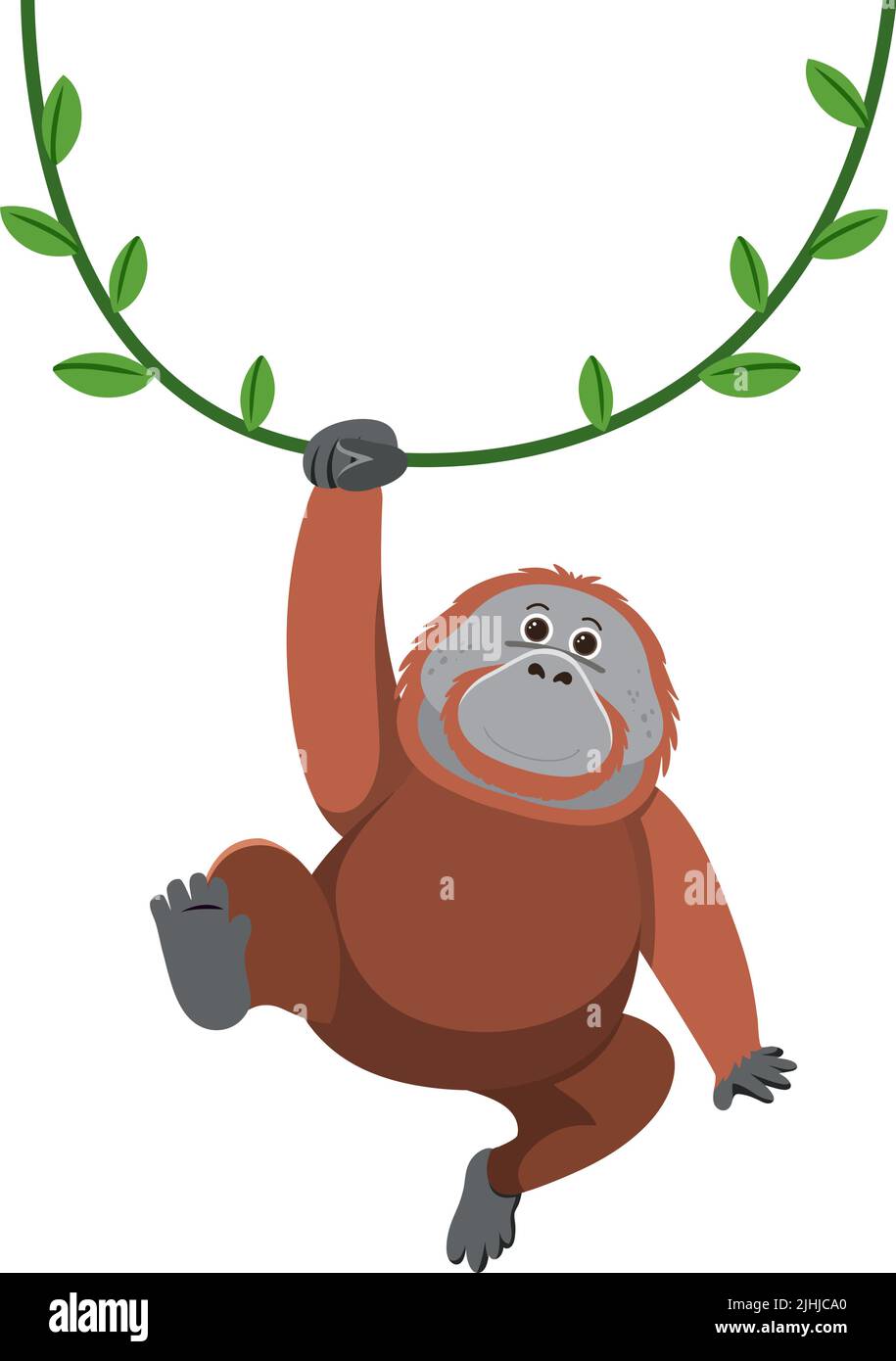 Orangutan hanging on liana illustration Stock Vector Image & Art - Alamy