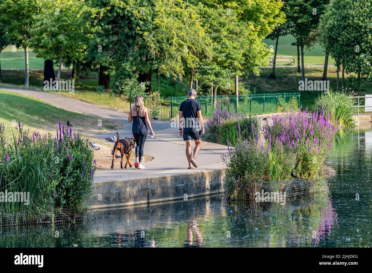Northampton 19th July 2022. Forecast to be the hottest day on record, so people are out early walking their dogs in Abington Park while it's a little cooler before the heat of the day gets intense.  Credit: Keith J Smith./Alamy Live News. Stock Photo