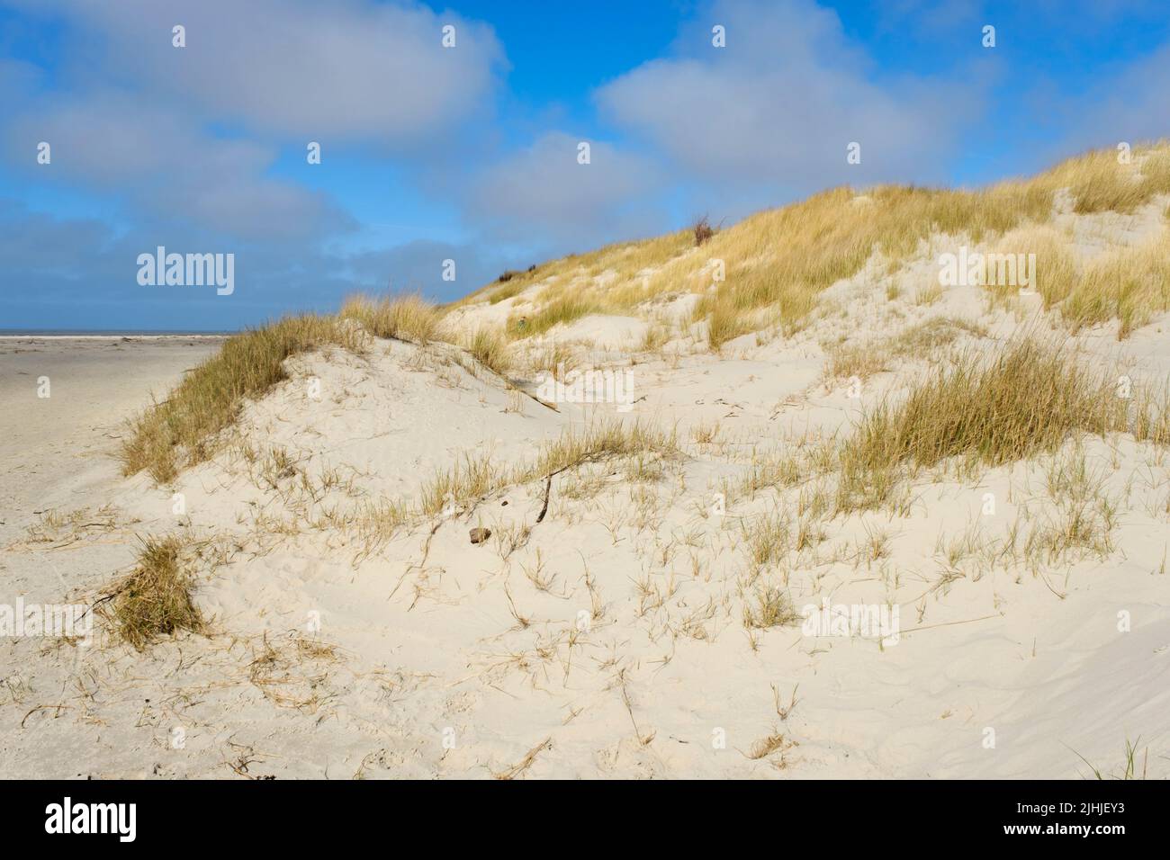 Dune landscape at the North sea coast Stock Photo
