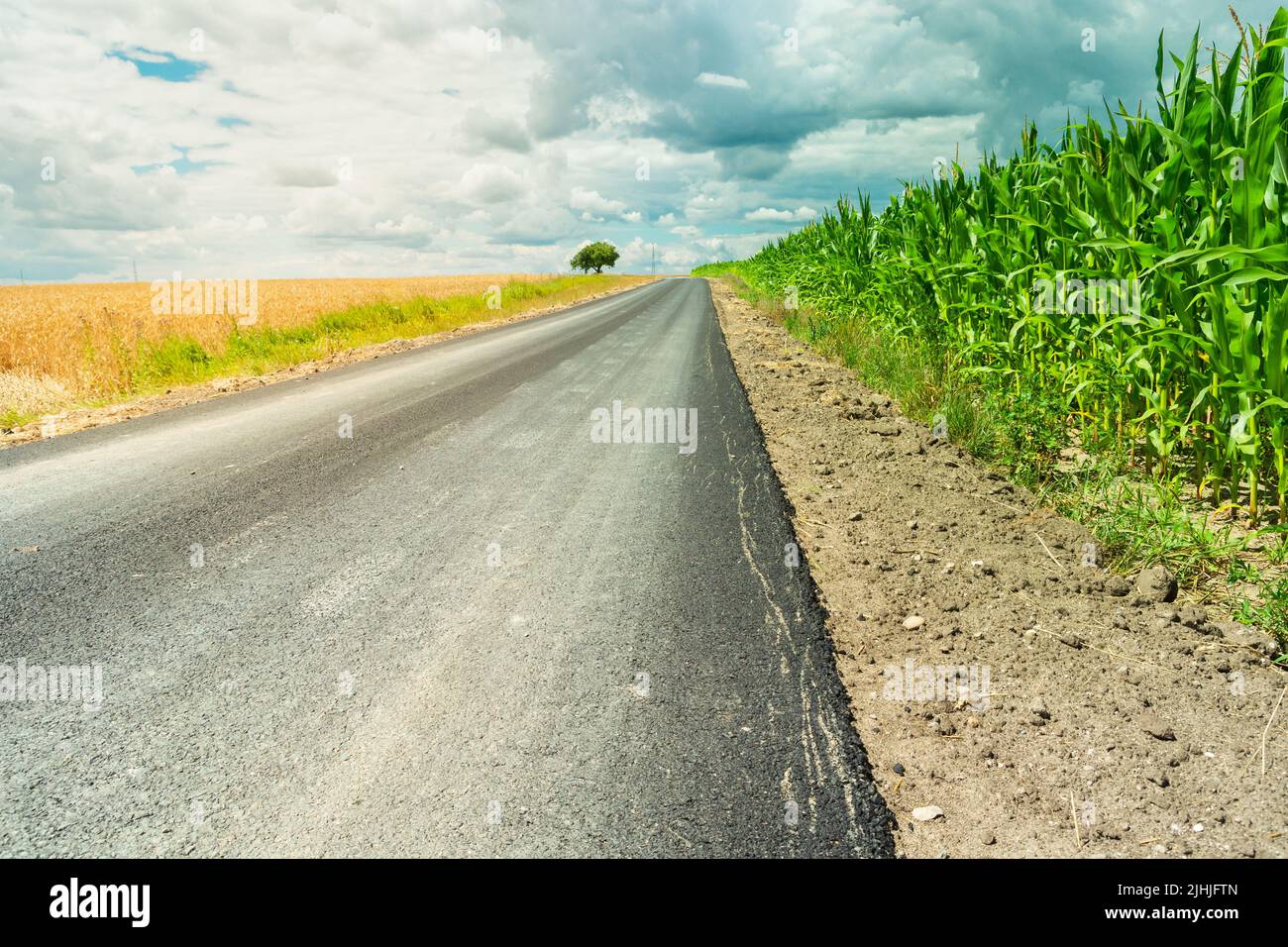 An asphalt road by a green corn field and clouds in the sky Stock Photo