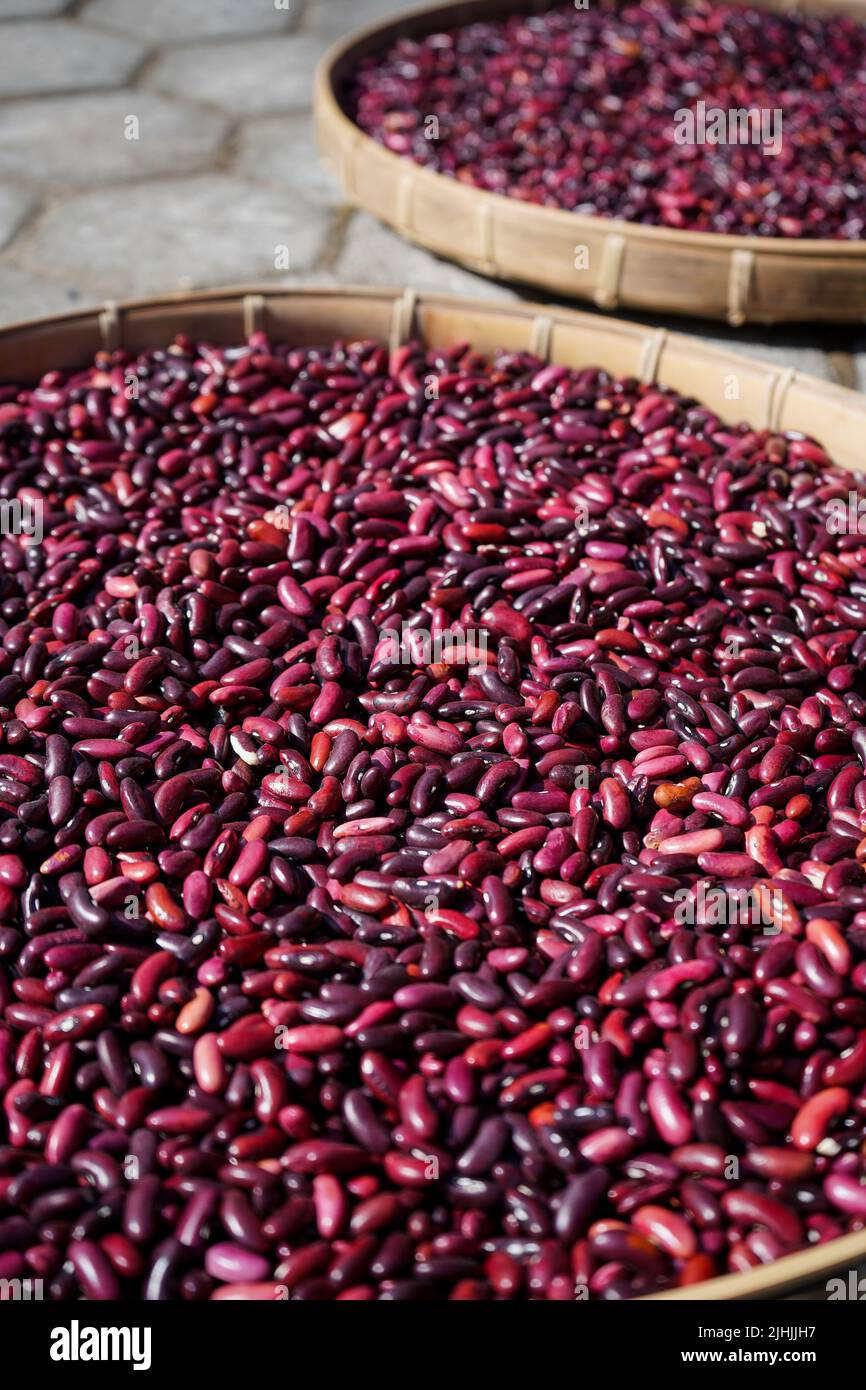 Adzuki bean plant hi-res stock photography and images - Alamy