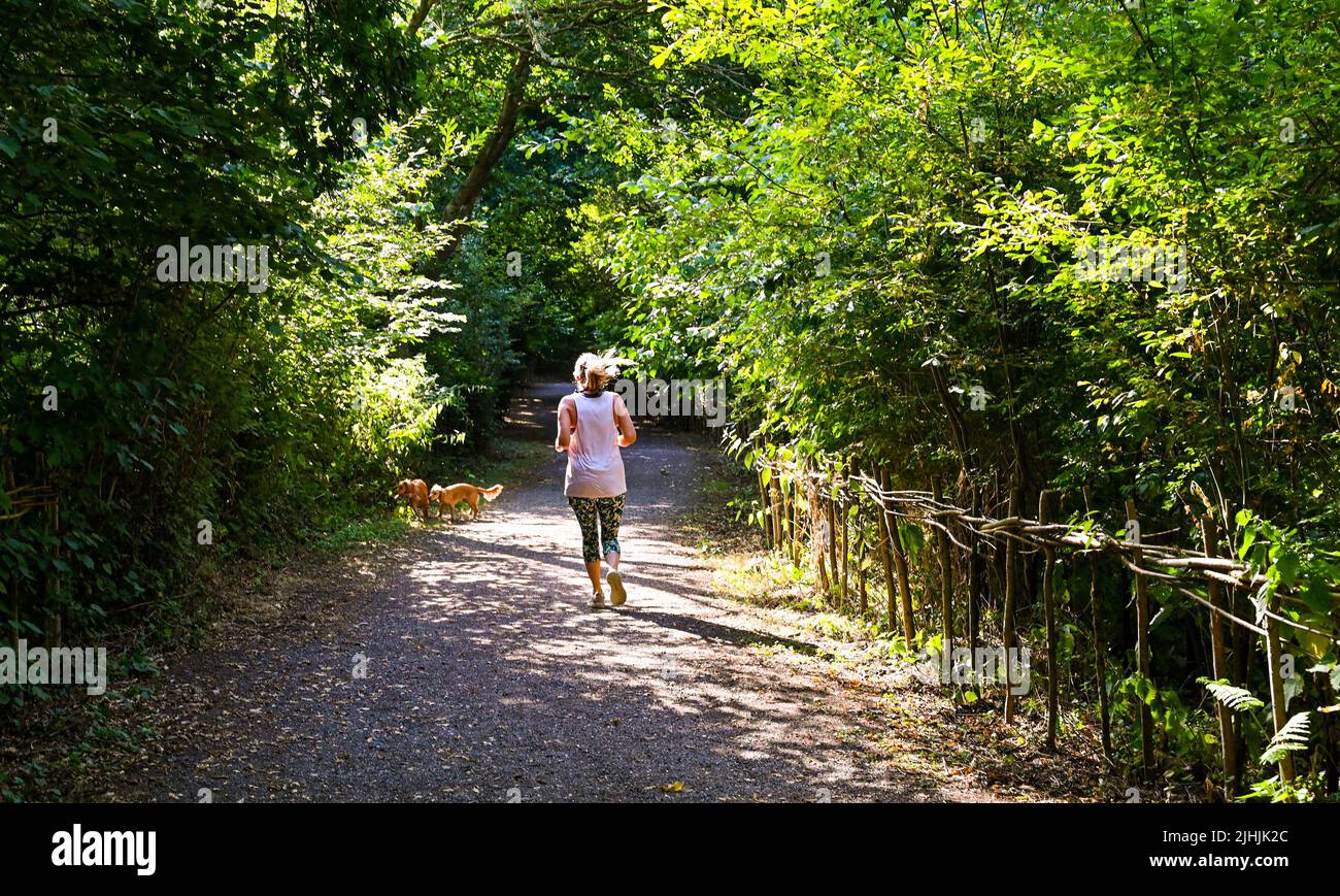 Lewes UK 17th July 2022 - A runner and her dogs stay in the shade by Arlington Reservoir near Lewes in East Sussex the current heatwave sunshine today as an extreme red weather warning has been issued for today throughout parts of Britain : Credit Simon Dack / Alamy Live News Stock Photo