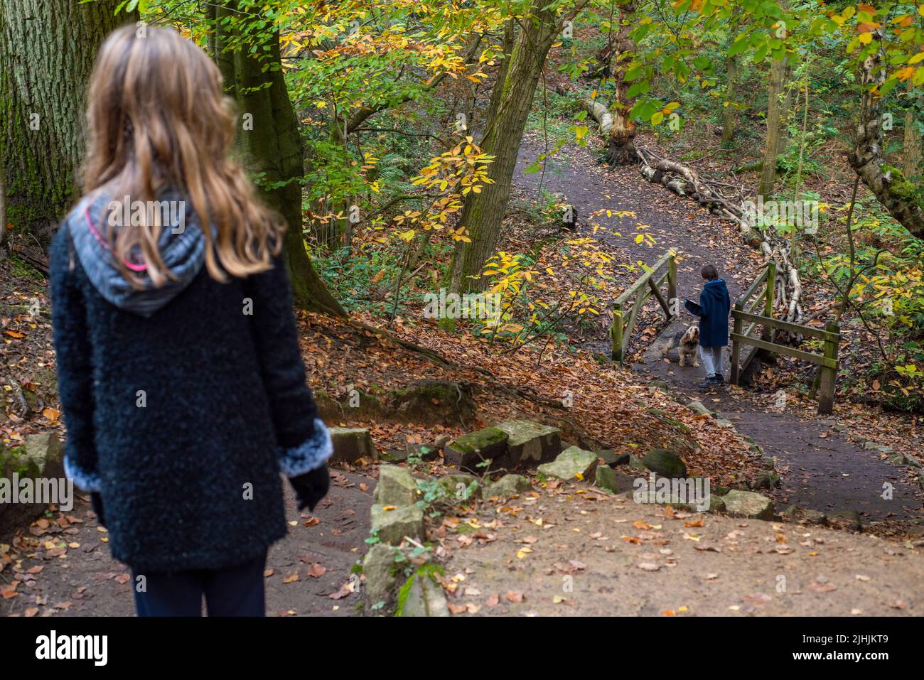 Sheffield, UK - 31 Oct 2019: a girl looks down steep steps in the woods to her brother at a gate below, Autumn woodland at Eccleshall Woods Stock Photo