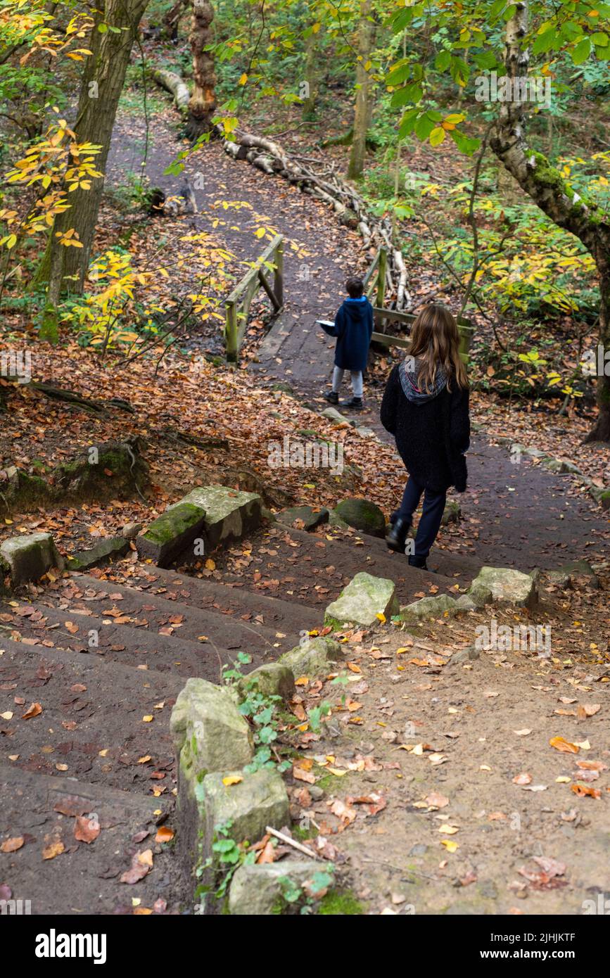 Sheffield, UK - 31 Oct 2019: a girl and boy walk down steep steps in Autumn woodland at Eccleshall Woods Stock Photo