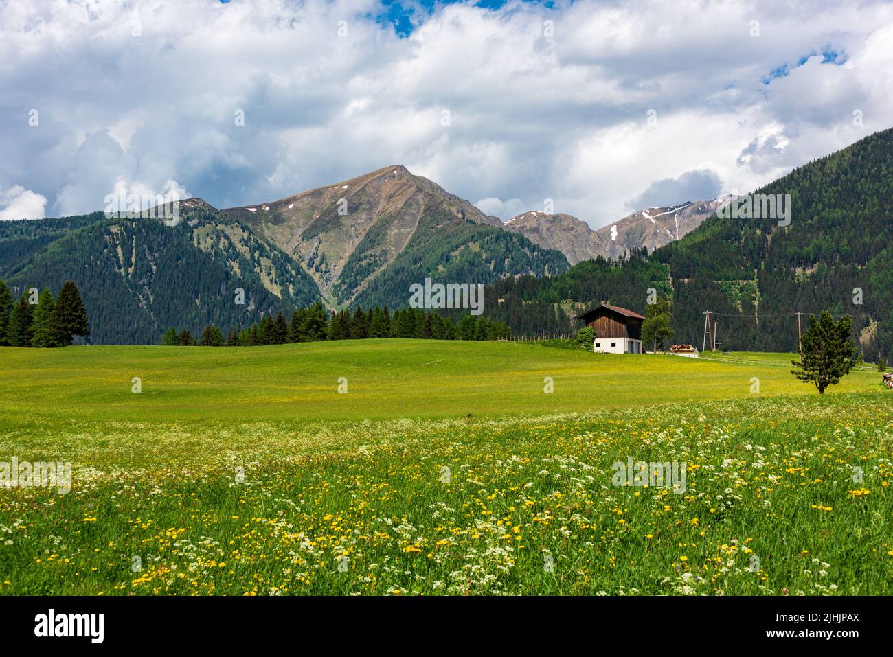Eine satte Almwiese mit gelben Blumen und Berge am Rande einer Landstraße in den Alpen Stock Photo