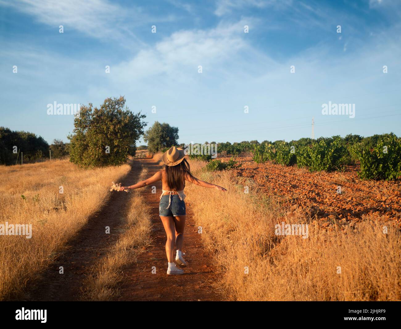 Back view of carefree female in casual clothes and hat spreading arms and running along path through dry field against cloudy blue sky in summer Stock Photo