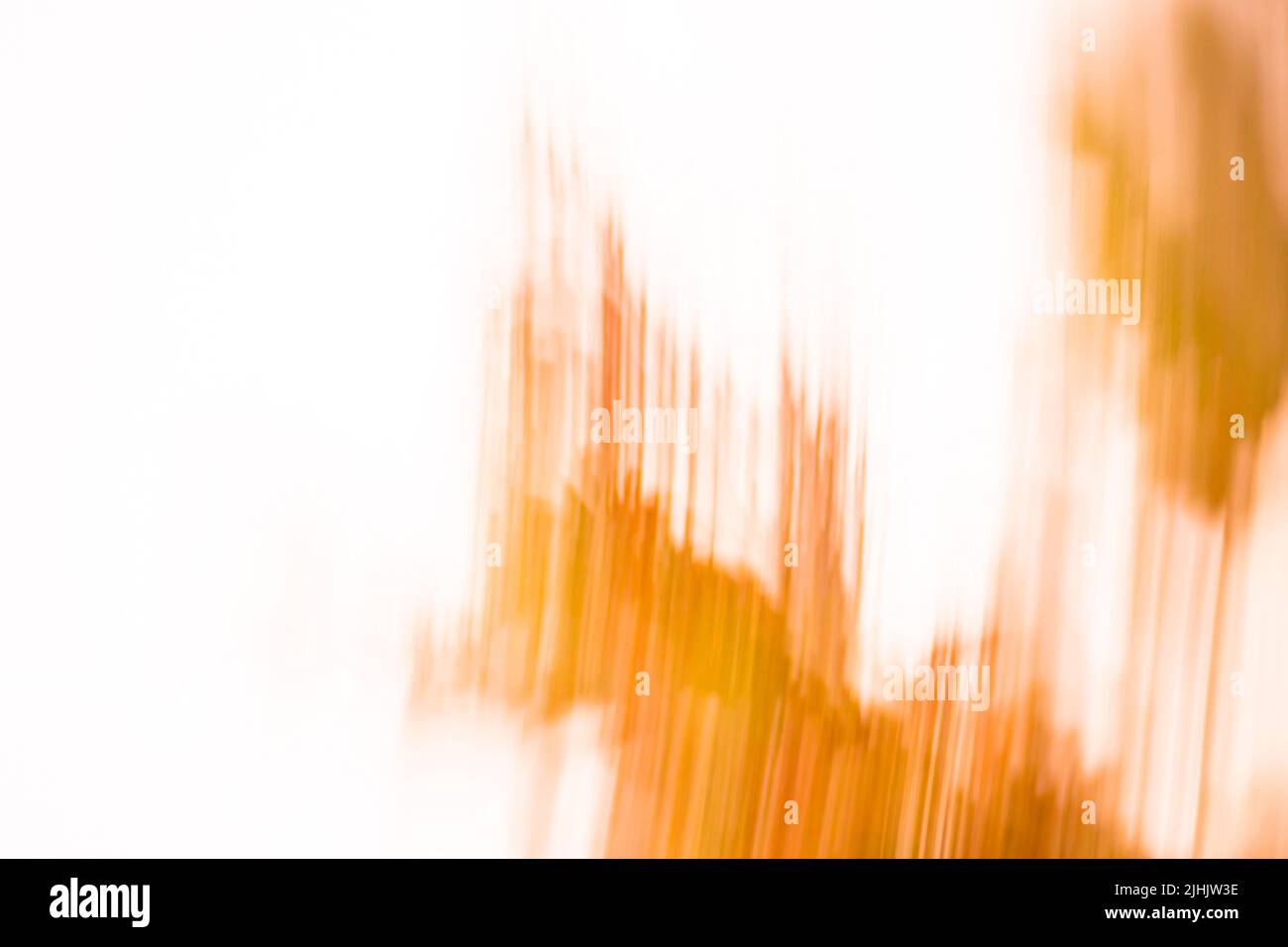 Orange fall natural trees bokeh. Bright yellow and red trees fall bokeh background Stock Photo