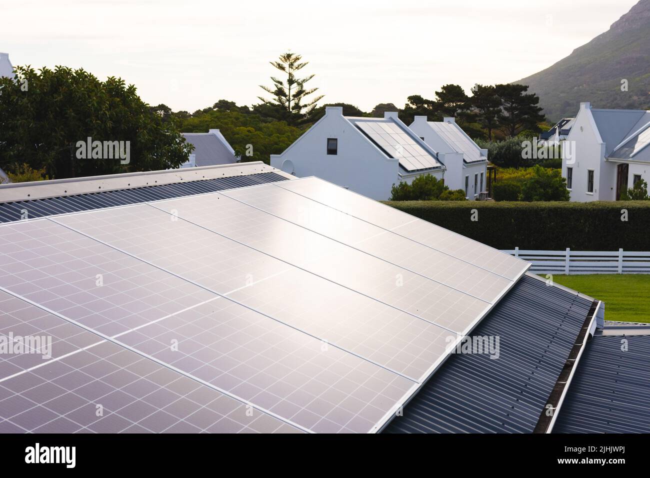 Solar panels on rooftops of houses and trees growing against clear sky