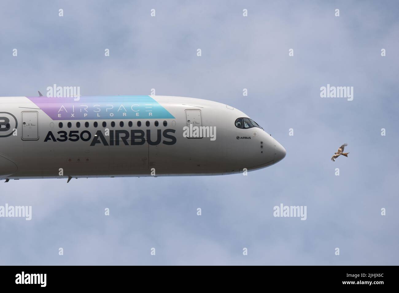 A red kite confronts an Airbus A350 over Farnborough during the airshow Stock Photo