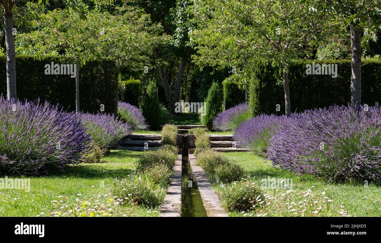 Landscaped garden with lavender and flowing water at Jardin Domaine de ...