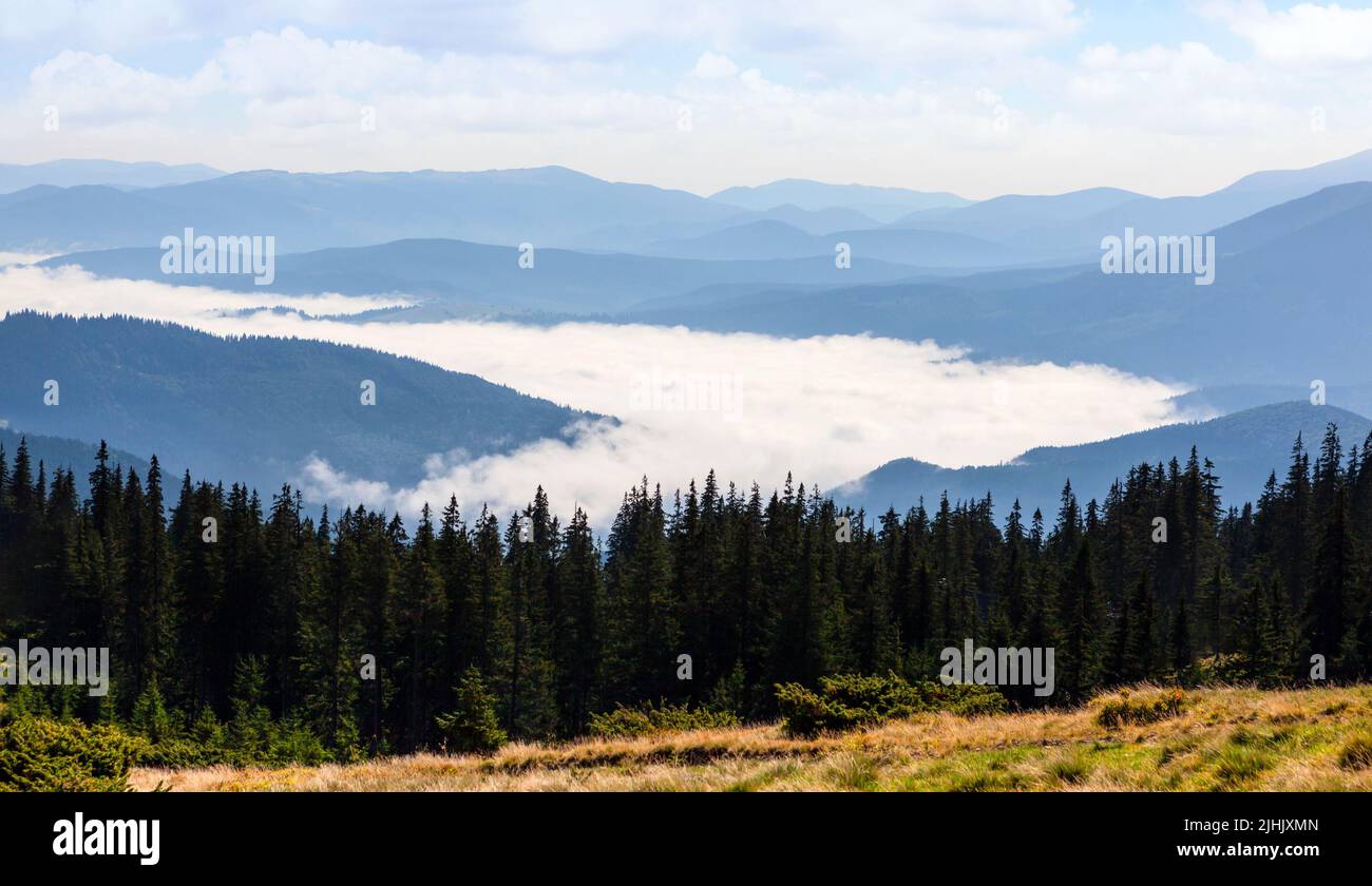 Beautiful hills and mist in the Carpathian mountains. Ukraine. Stock Photo