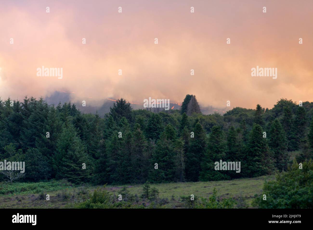 Fire and its huge cloud of smoke above the treetops in the Monts d'Arrée seen from Botmeur during the fire of July 18, 2022. Stock Photo