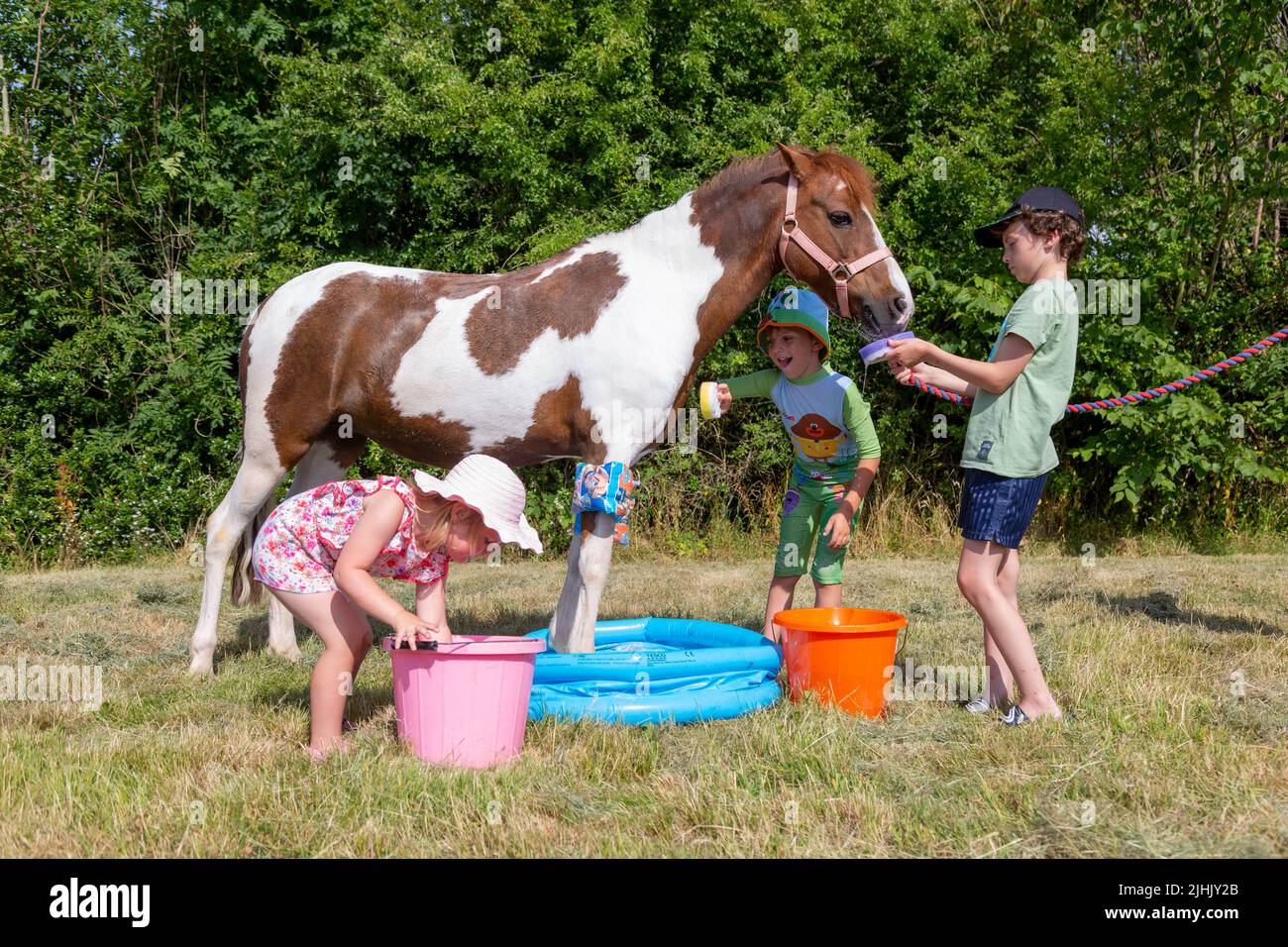Kidderminster, Worcestershire, UK. 19th July, 2022. During a break from optional home schooling due to the heatwave, Henley Mills, 9, with brother Reggie, 6, and sister Myla-May, 3, try to keep cool with their pony Fern in the paddling pool in the family's farmyard near Kidderminster, Worcestershire. Temperatures are set to become UK record highs.  Credit: Peter Lopeman/Alamy Live News Stock Photo