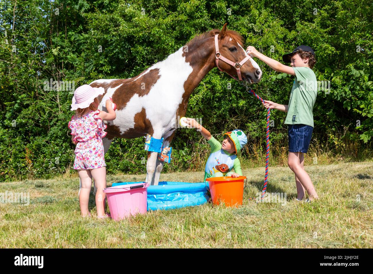 Kidderminster, Worcestershire, UK. 19th July, 2022. During a break from optional home schooling due to the heatwave, Henley Mills, 9, with brother Reggie, 6, and sister Myla-May, 3, try to keep cool with their pony Fern in the paddling pool in the family's farmyard near Kidderminster, Worcestershire. Temperatures are set to become UK record highs.  Credit: Peter Lopeman/Alamy Live News Stock Photo