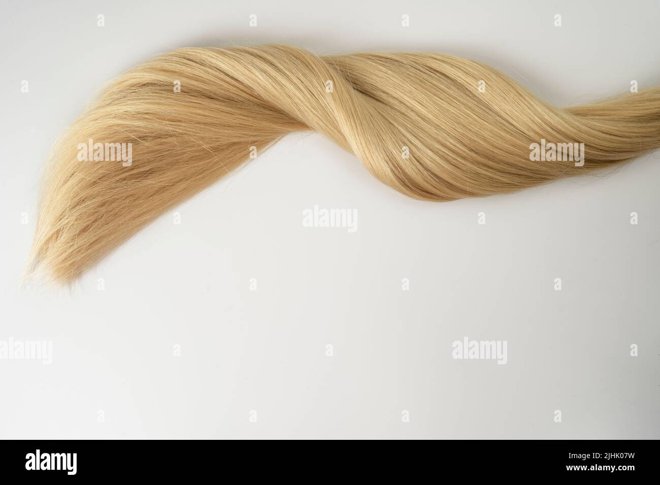 A strand of blonde hair lying on a white background Stock Photo