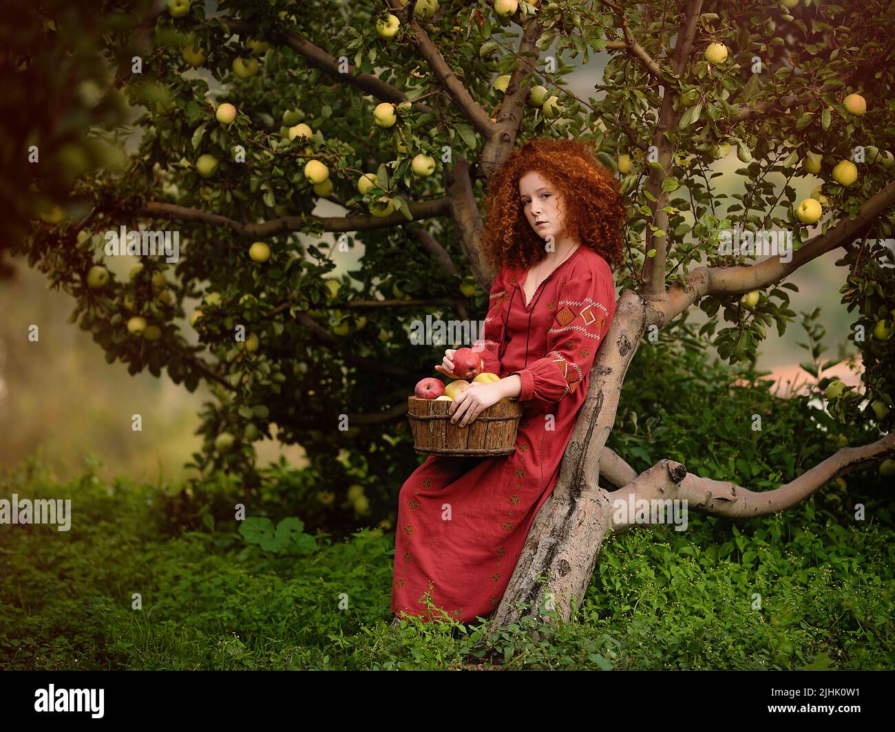 Red-haired beautiful girl with apples in the apple orchard Stock Photo