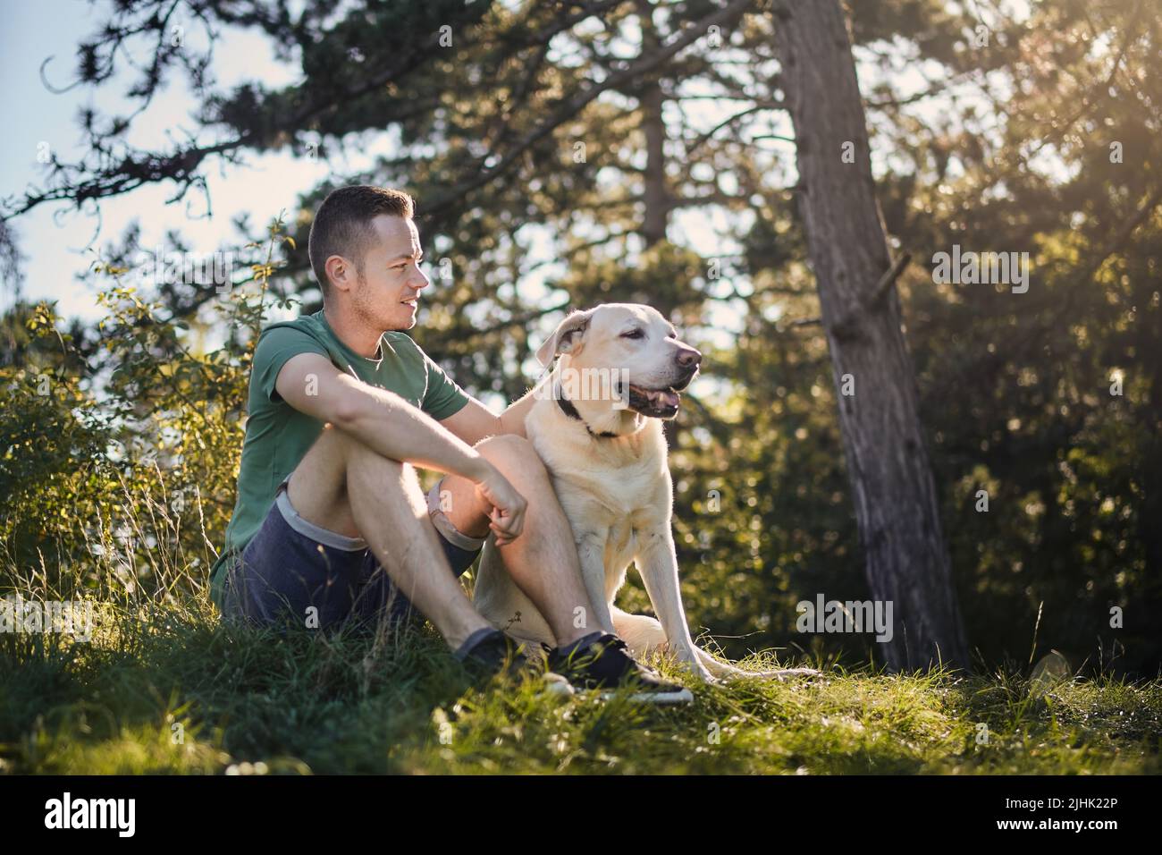 Man with his dog sitting in grass under tree. Pet owner enjoying trip with his labrador retriever during sunny summer day. Stock Photo