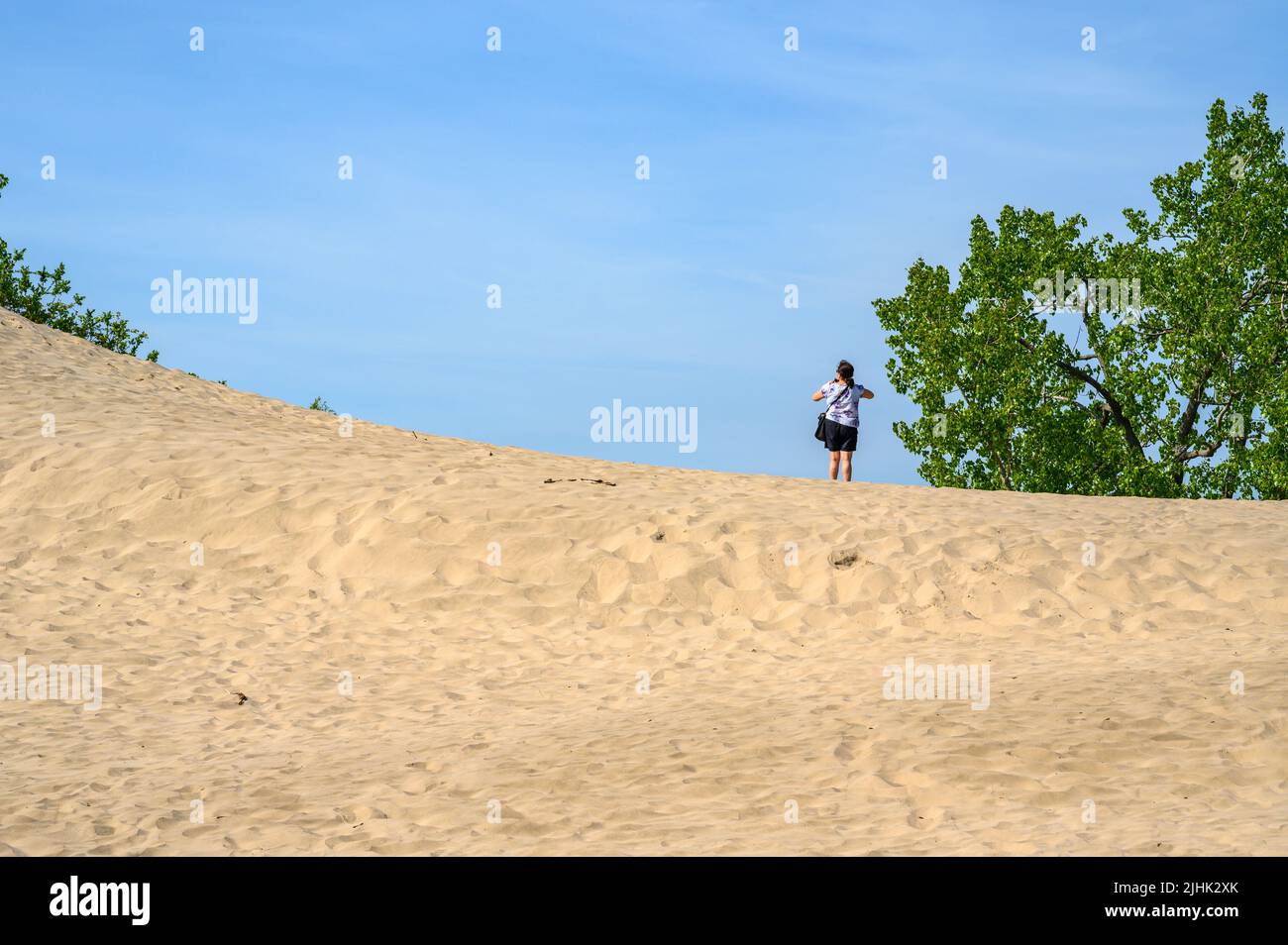 Middle-aged woman of Indian heritage stands on the ridge of a sand dune at Sandbanks Dunes Beach, Prince Edward County, Ontario, Canada. Stock Photo