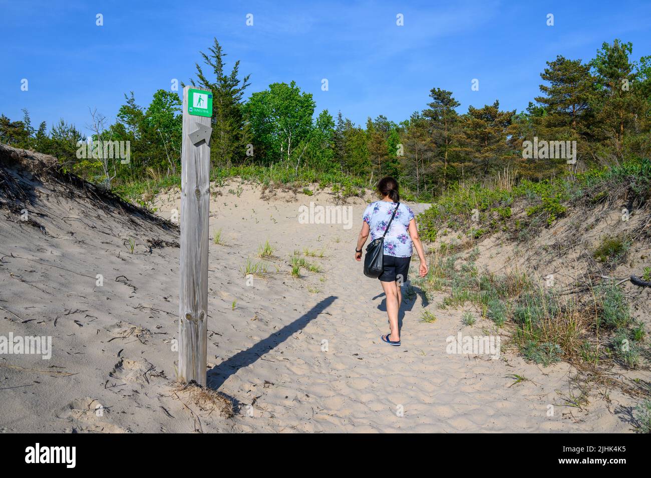 Middle-aged woman of Indian descent walks along Dunes Trail at Sandbanks Dunes Beach, Prince Edward County, Ontario, Canada. Stock Photo