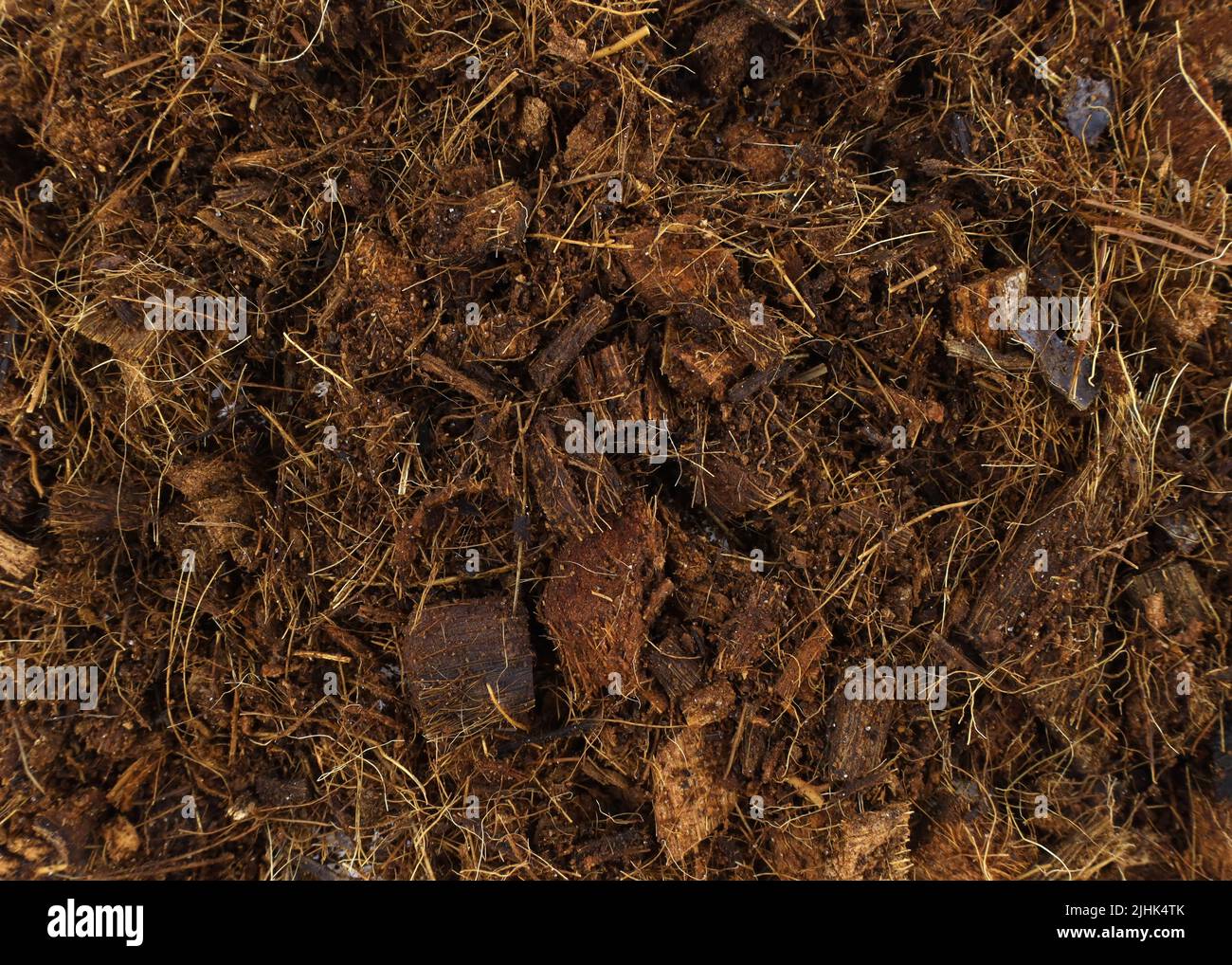Coconut substrate close up. Coconut fiber background. Coconut fibers for planting plants with soil. Stock Photo