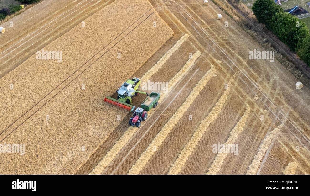 Wheat fields at Harvest time Stock Photo
