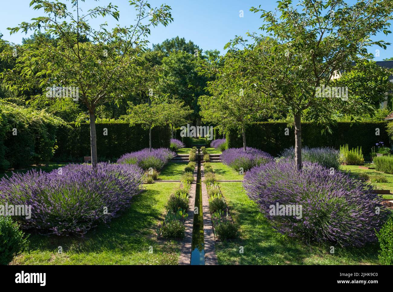 Landscaped garden with lavender and flowing water at Jardin Domaine de ...