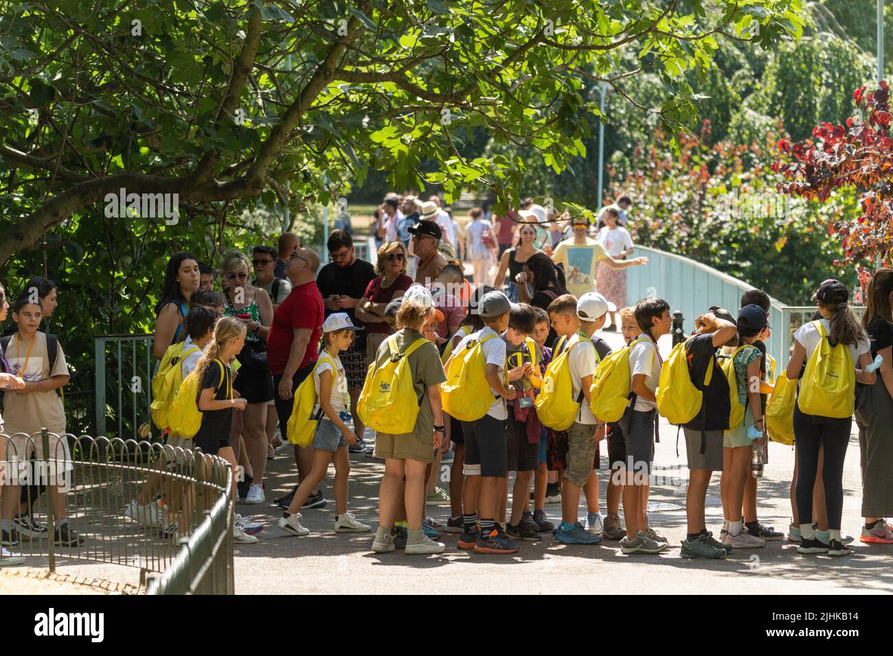 London, UK. 19th July, 2022. UK Weather, on the hottest day of the year people enjoy St James Park London Credit: Ian Davidson/Alamy Live News Stock Photo