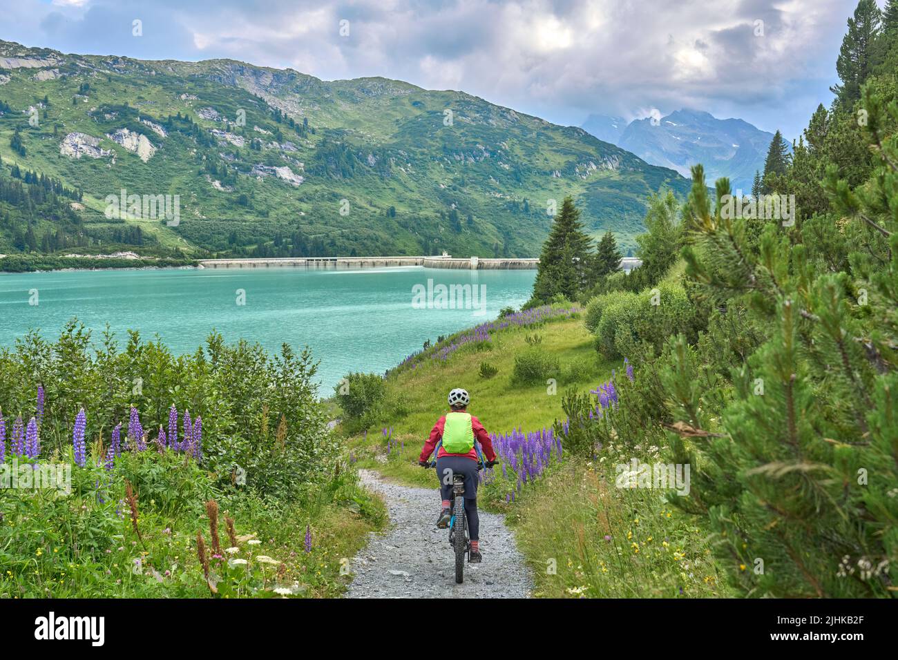 nice senior woman riding her electric mountain bike between blooming lupins in a mountain meadow in the silvretta mountains above lake, Tirol, Austria Stock Photo