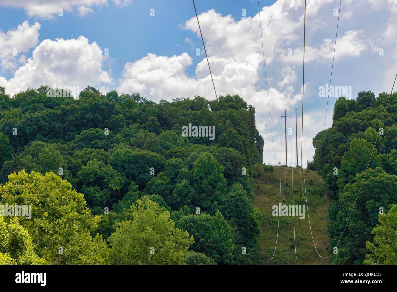 Wooded are divided and cleared for Power Lines in rural Tennessee. Stock Photo