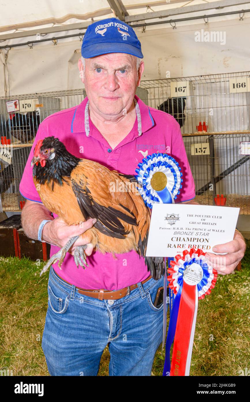Prize winning Silkie chicken at an agricultural show. Stock Photo