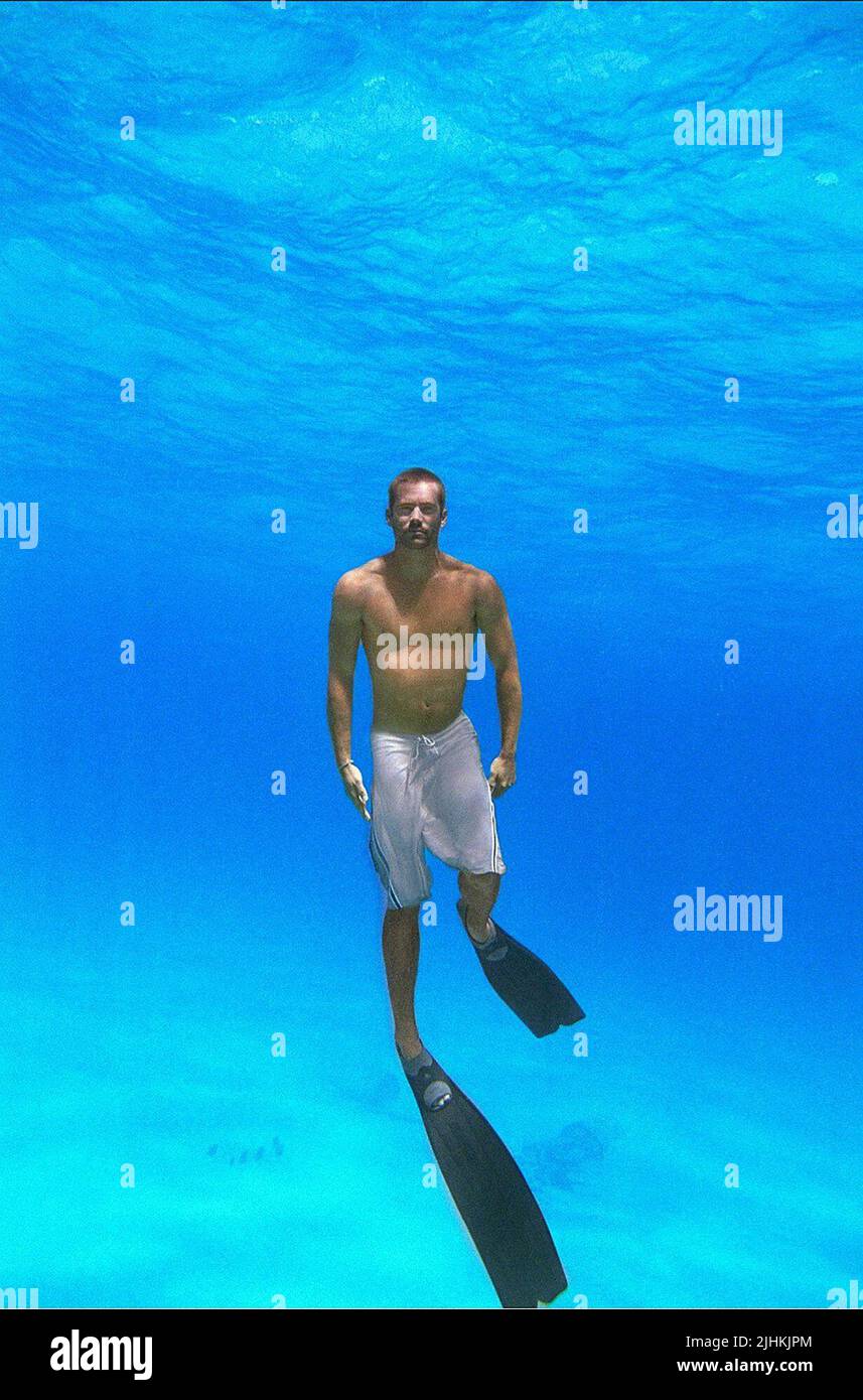 PAUL WALKER, INTO THE BLUE, 2005 Stock Photo