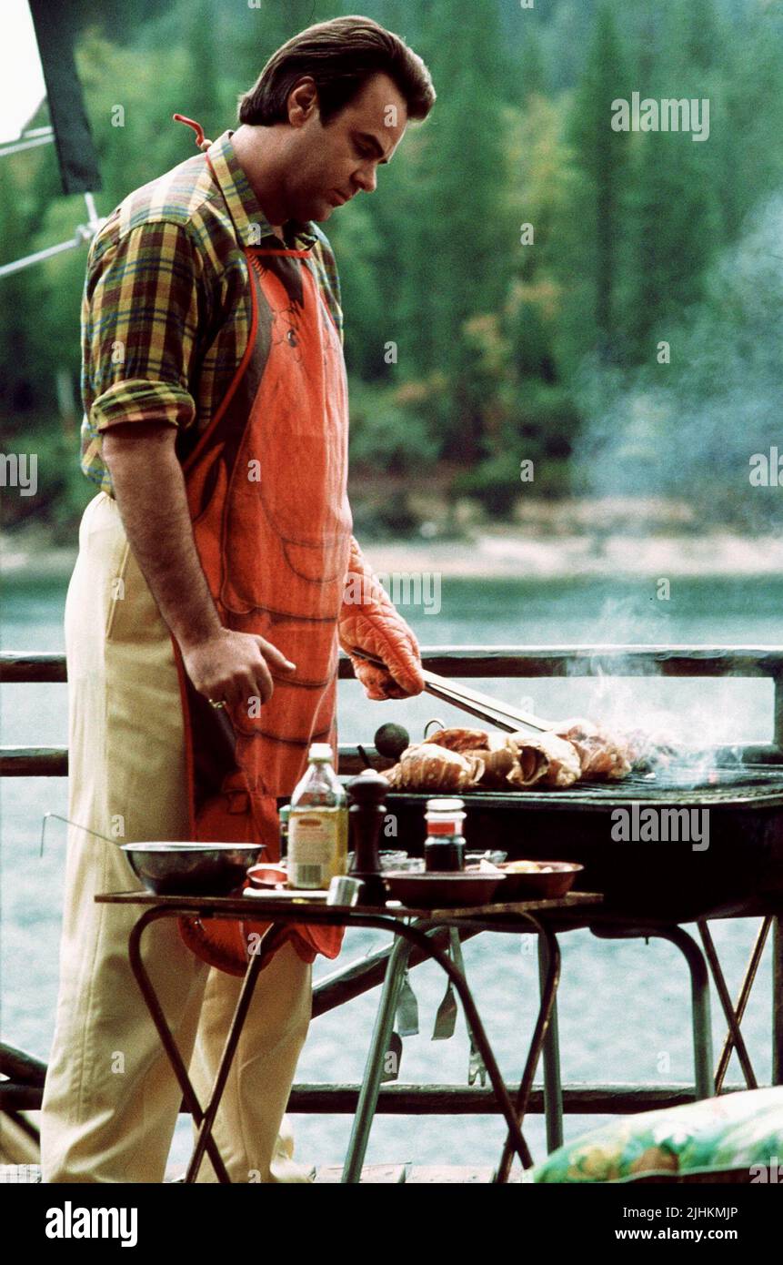 DAN AYKROYD, THE GREAT OUTDOORS, 1988 Stock Photo Alamy