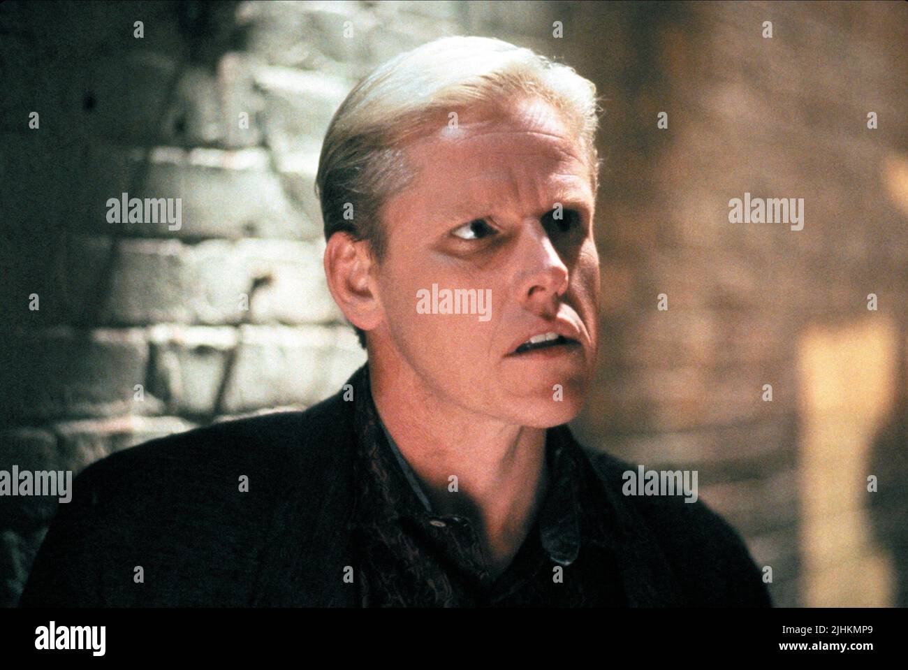 gary busey loco