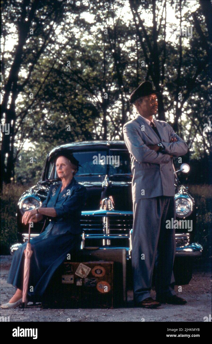 JESSICA TANDY, MORGAN FREEMAN, DRIVING MISS DAISY, 1989 Stock Photo