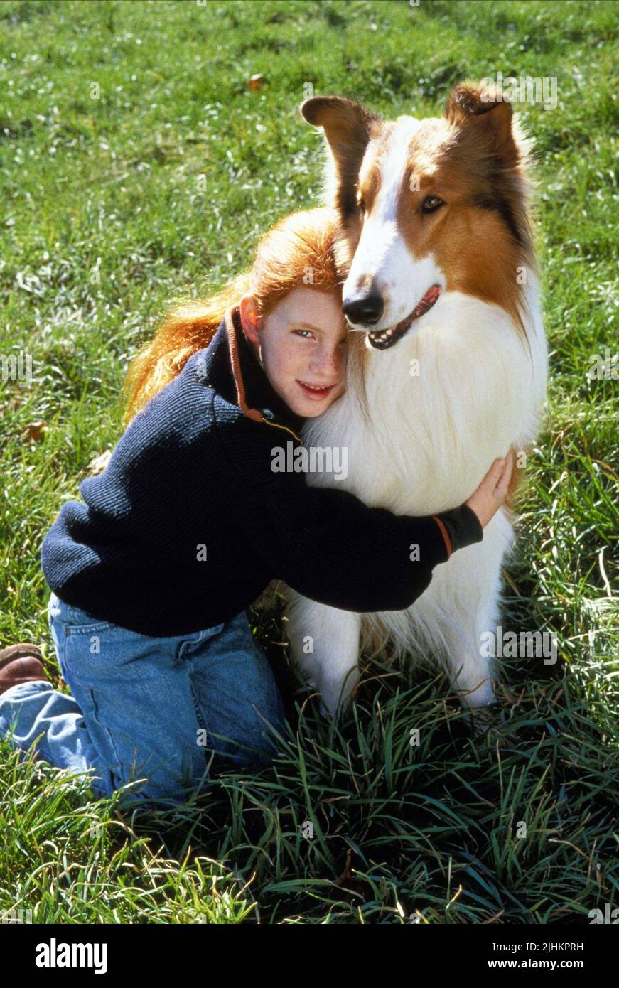 Lassie movie 2020 hi-res stock photography and images - Alamy