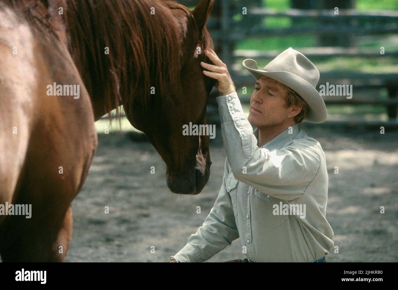 ROBERT REDFORD, THE HORSE WHISPERER, 1998 Stock Photo Alamy