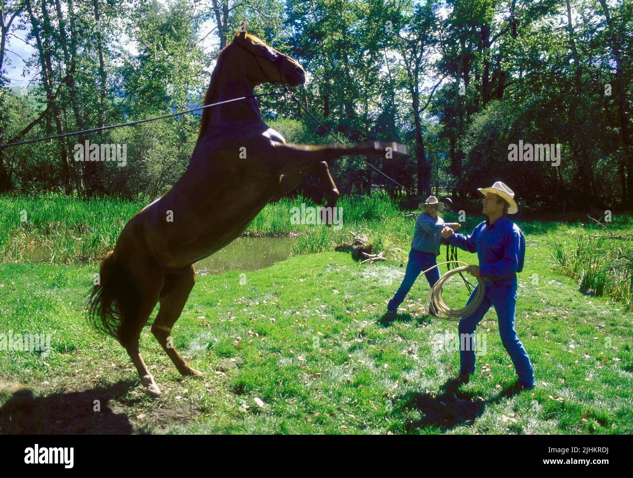 ROBERT REDFORD, THE HORSE WHISPERER, 1998 Stock Photo Alamy