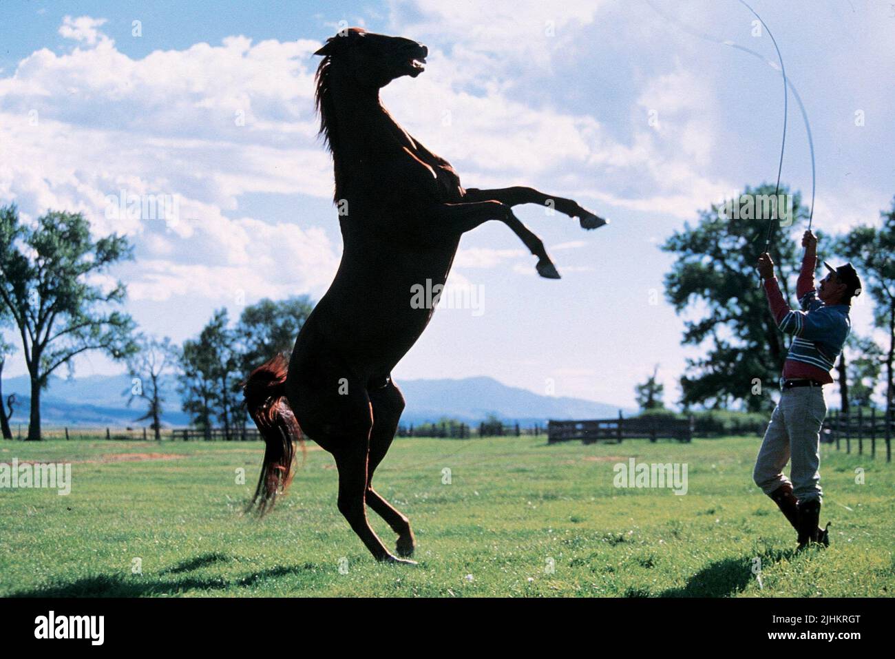 HORSE TRAINING SCENE, THE HORSE WHISPERER, 1998 Stock Photo Alamy
