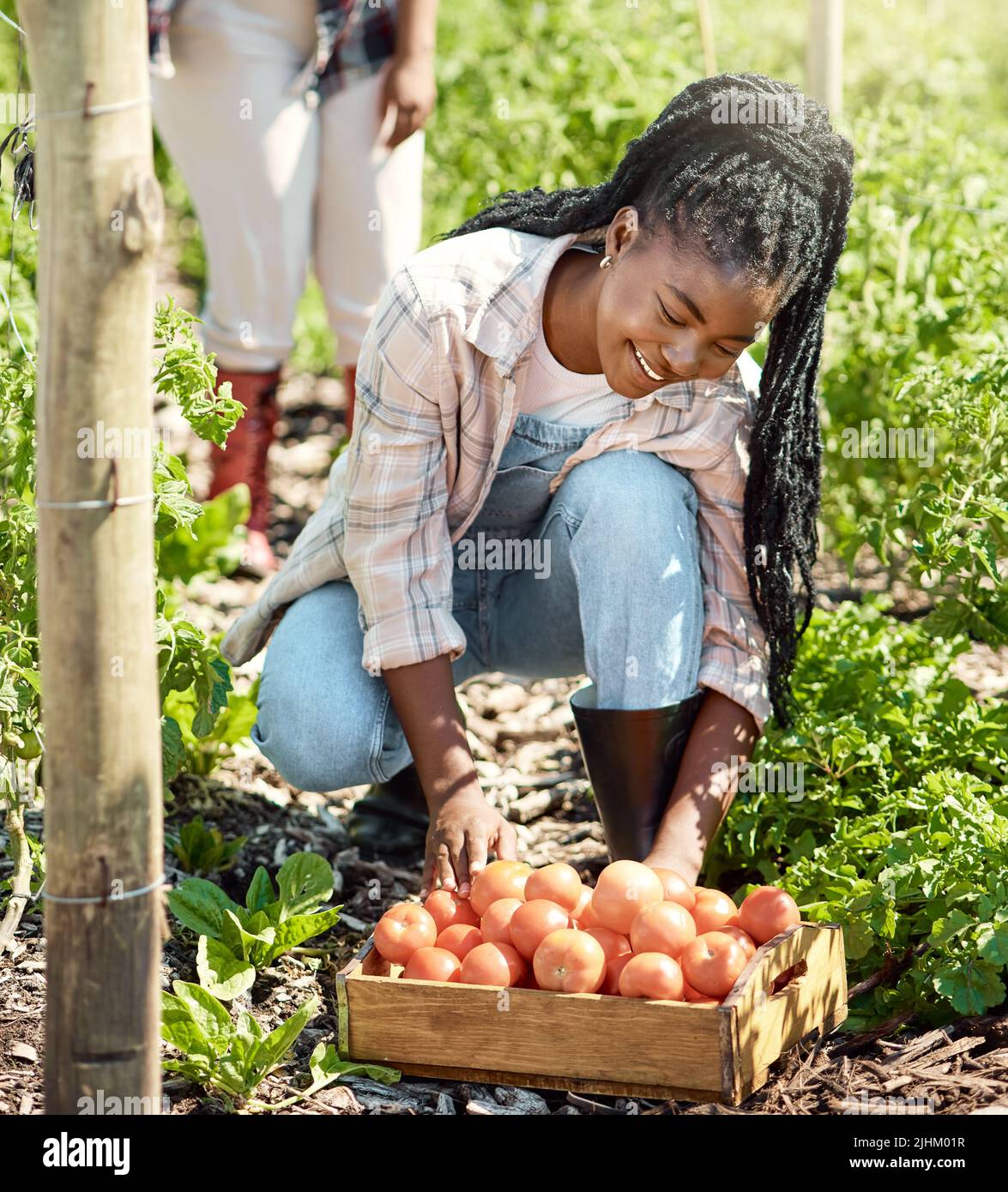 African-American teenage girls.  GreenFuse Photos: Garden, farm & food  photography