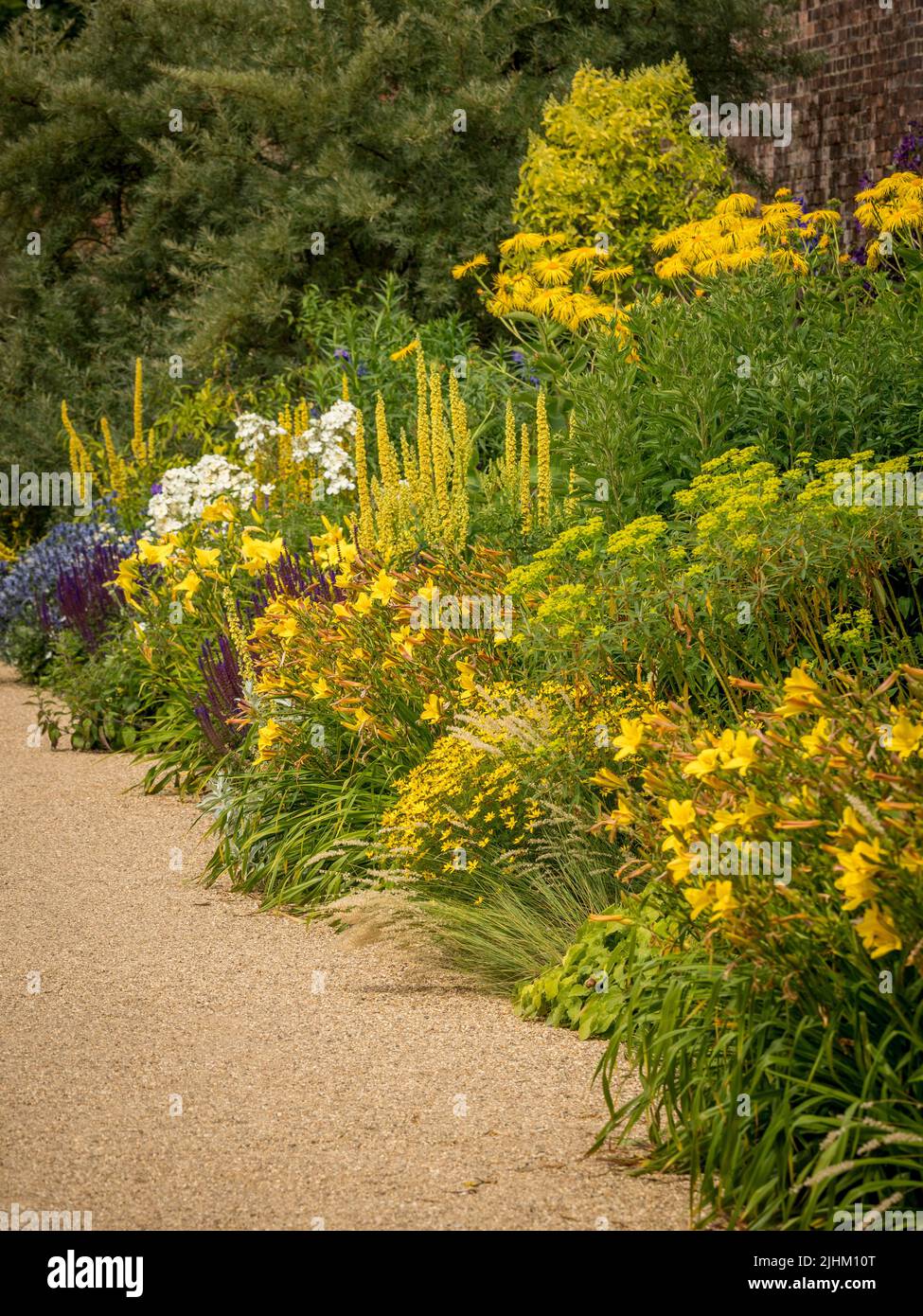 Yellow coloured themed flower border in a UK garden in summer. Stock Photo