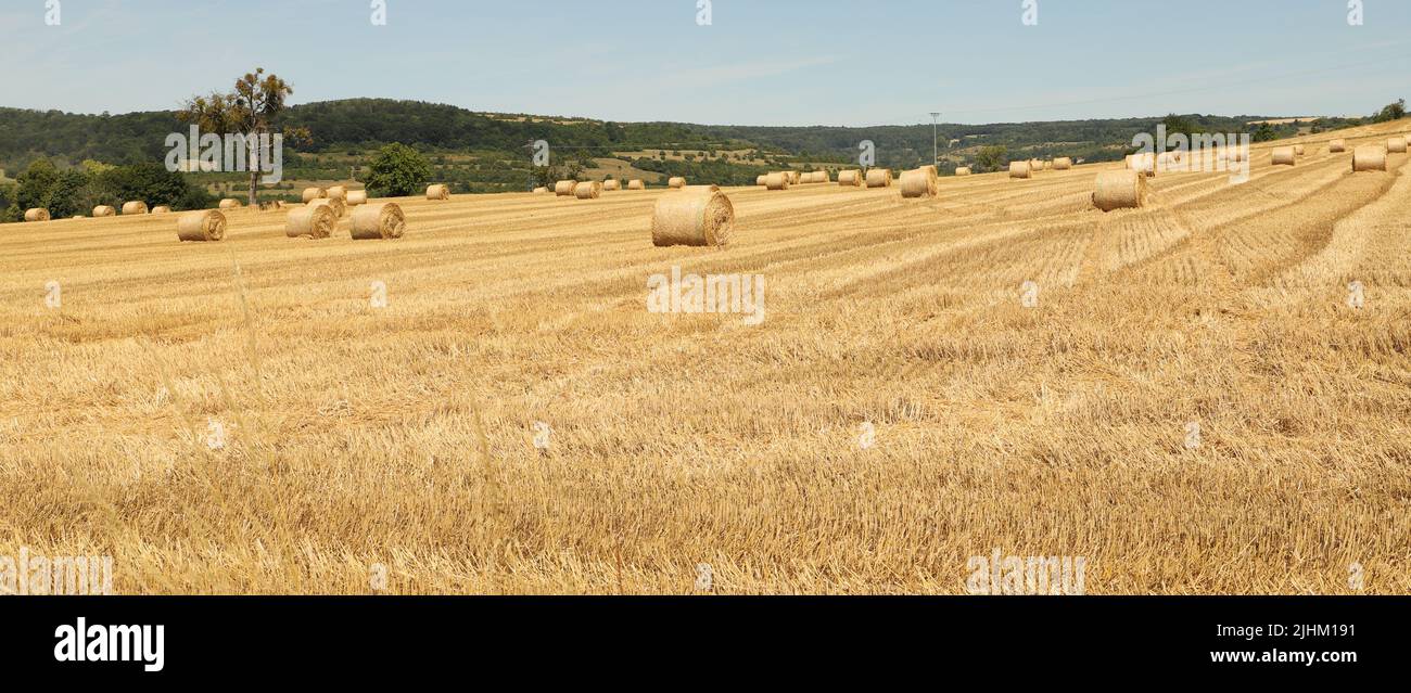 straw bales stacked on the field Stock Photo - Alamy
