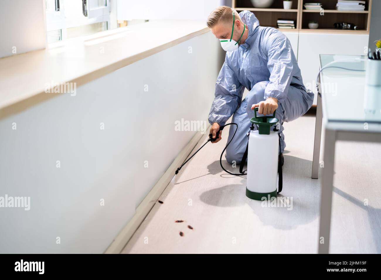 Pest Control Exterminator Man Spraying Termite Pesticide In Office ...