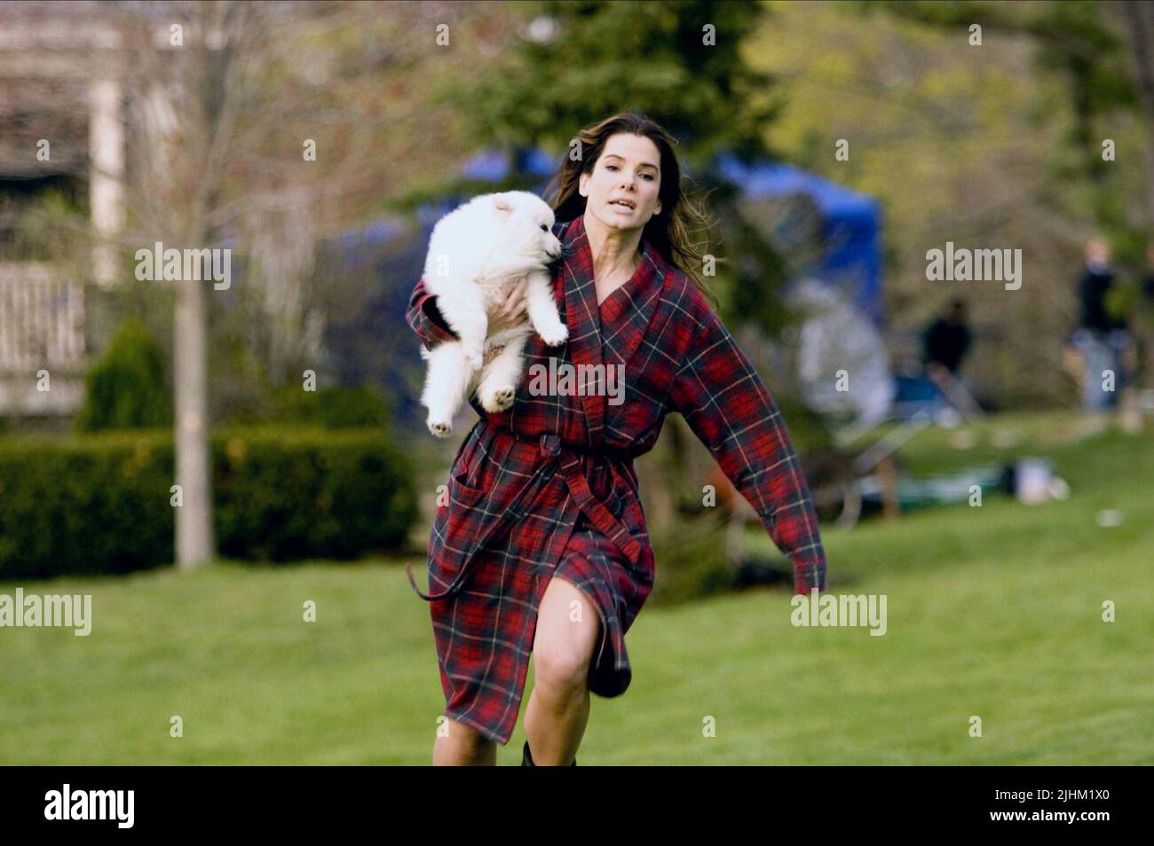 SANDRA BULLOCK, DOG, THE PROPOSAL, 2009 Stock Photo Alamy