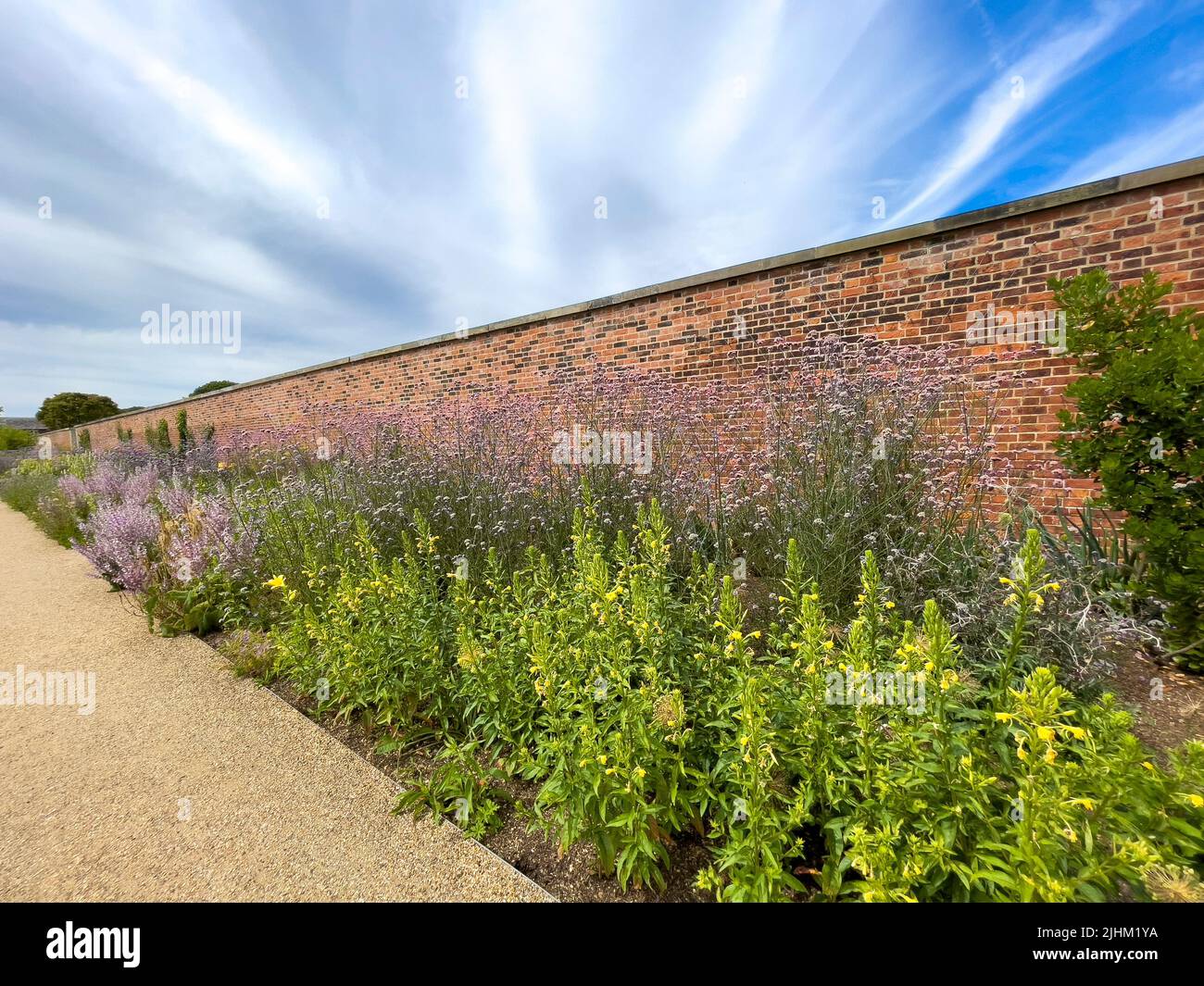 Long flowerbed in the walled garden at RHS Bridgewater in Salford. UK Stock Photo