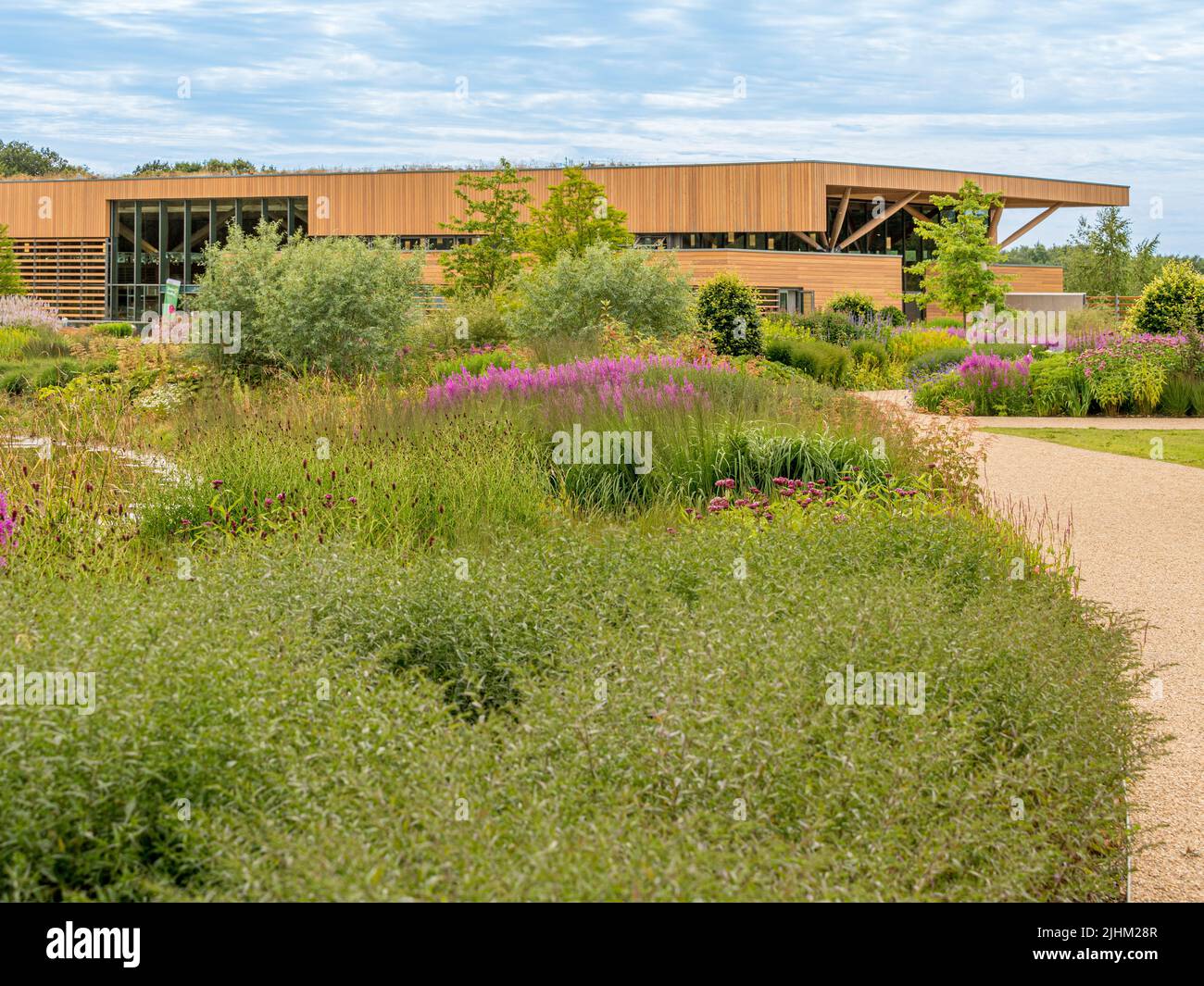Contemporary wooden clad Welcome Building at RHS Bridgewater gardens in Salford. Stock Photo