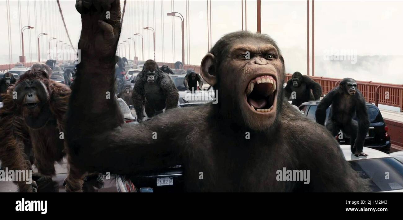 APE, RISE OF THE PLANET OF THE APES, 2011 Stock Photo