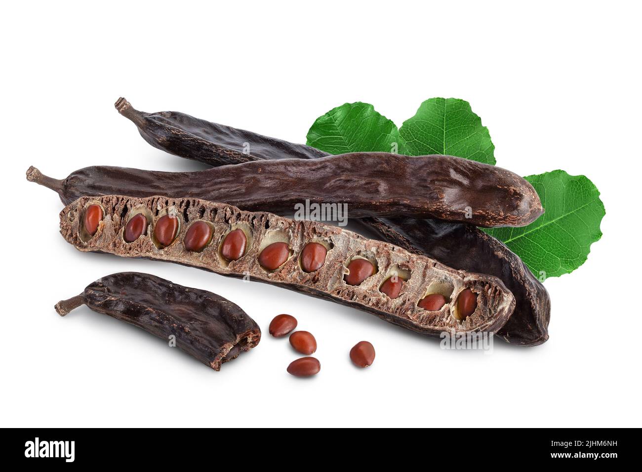 Ripe carob pods and bean isolated on white background with full depth